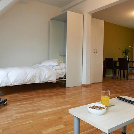 Residence Apartments By Hotel Du Commerce بازل المظهر الخارجي الصورة