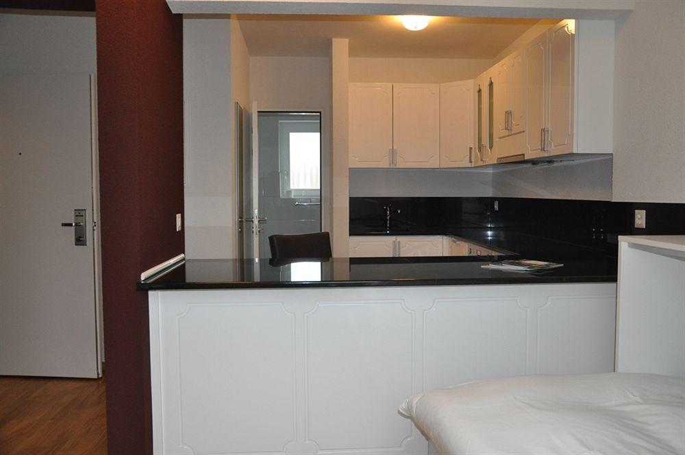 Residence Apartments By Hotel Du Commerce بازل المظهر الخارجي الصورة